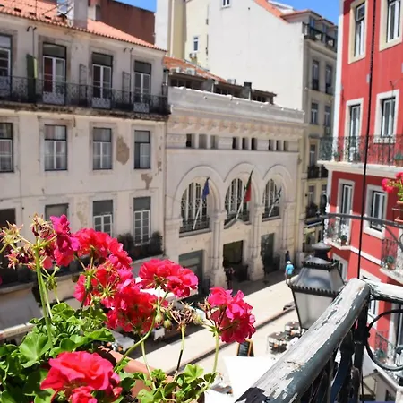 Lx Flowers * Lisbon