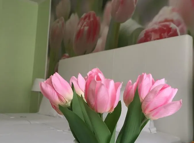 Appartement Lx Flowers *