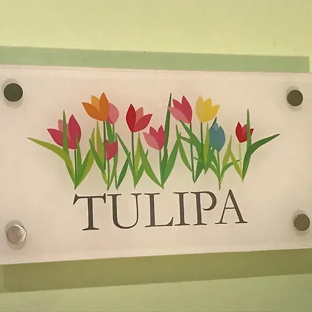 דירה Lx Flowers ליסבון