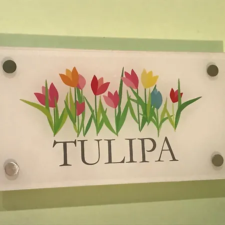 Apartament Lx Flowers Lizbona