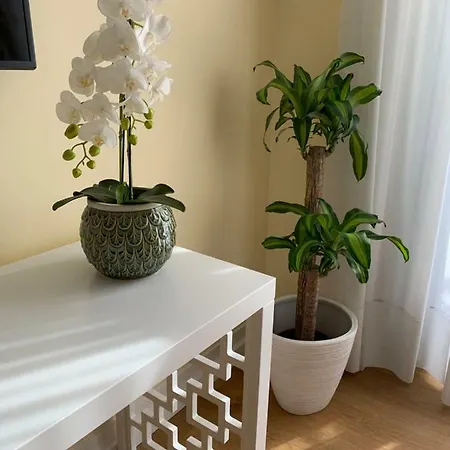 דירה Lx Flowers ליסבון