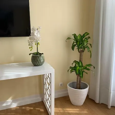 Lx Flowers *